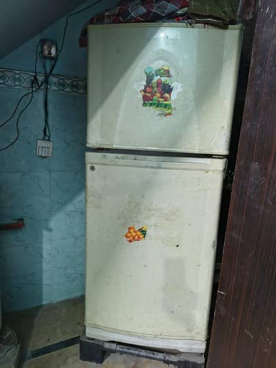 bilkul saff condition h 03216200507