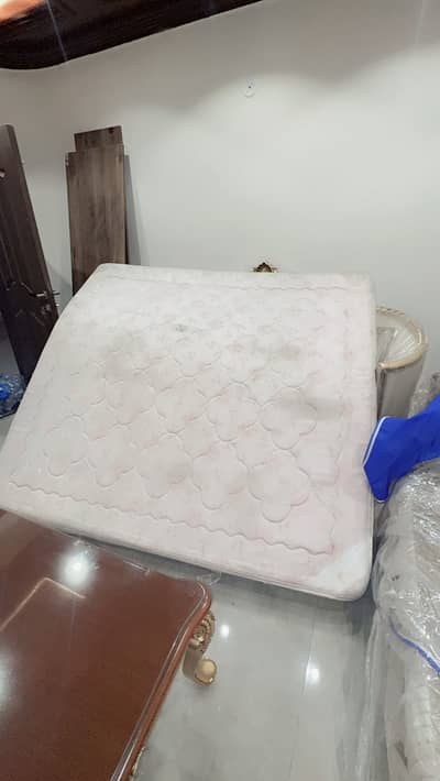 Molty Master foam