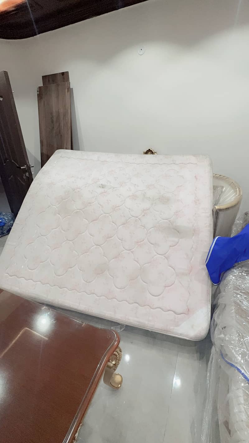 Molty Master foam 0