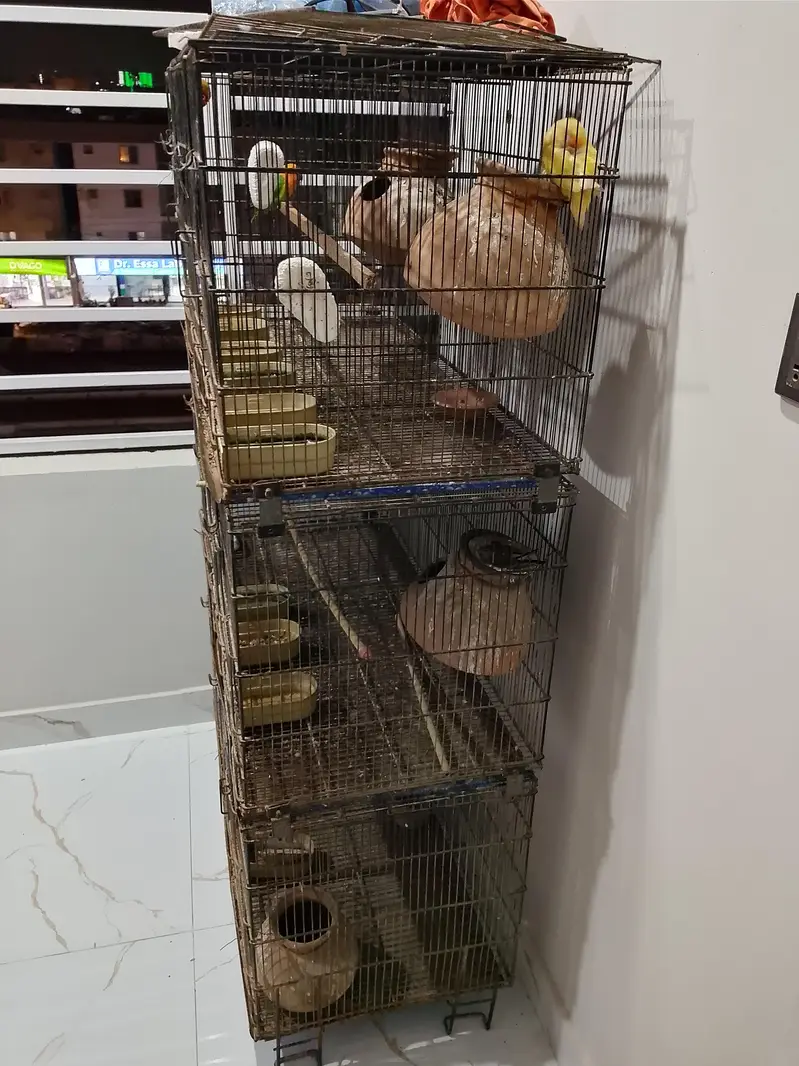 9 portion cage — photo 2