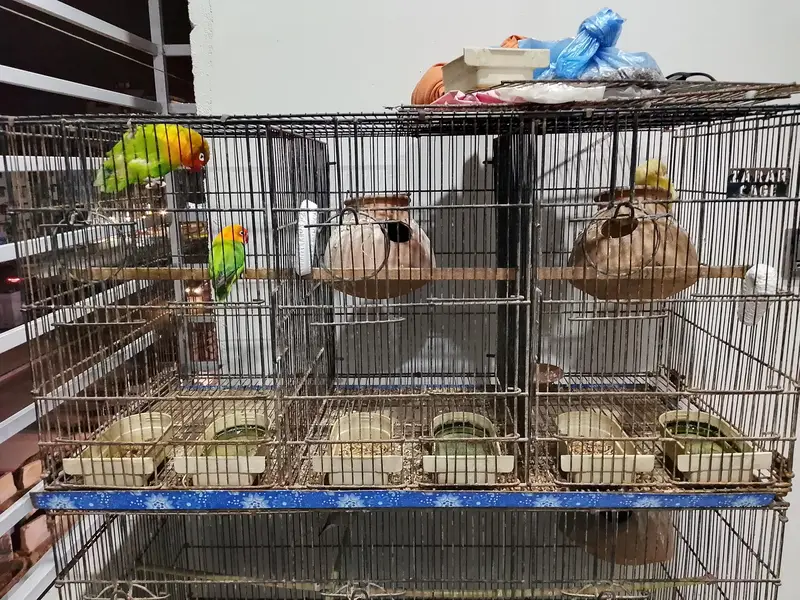 9 portion cage — photo 3