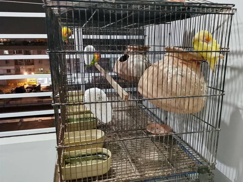 9 portion cage 3