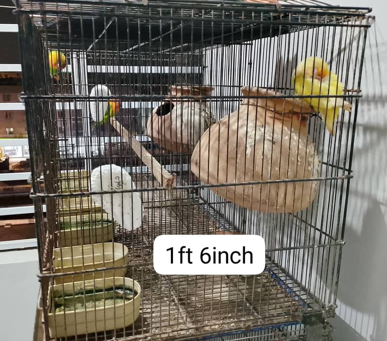 9 portion cage 5