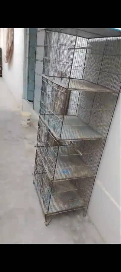 4 portion cage for sale