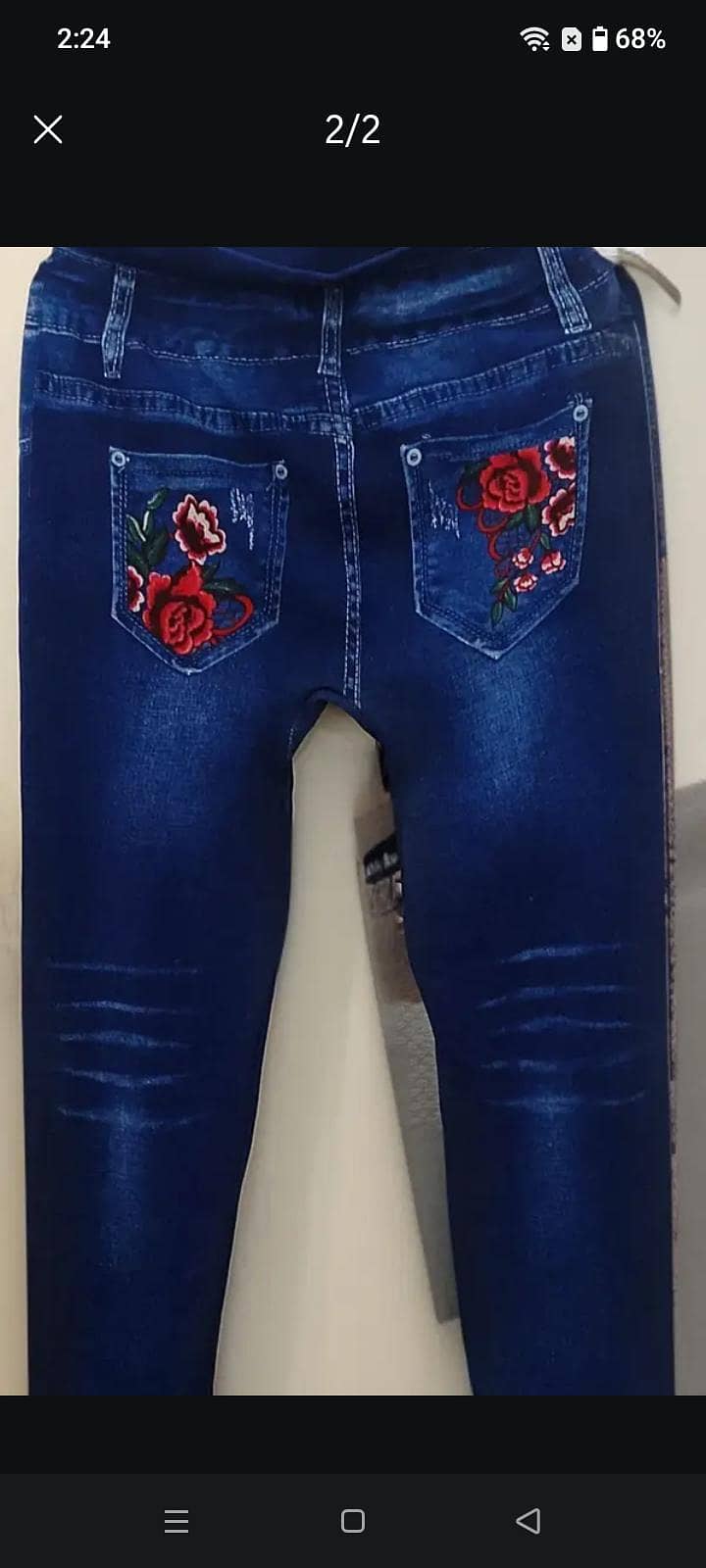 blue tites 1