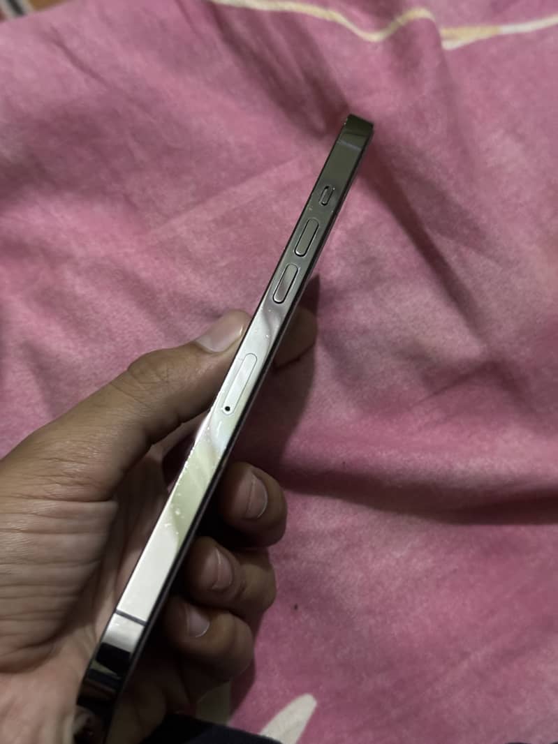 Apple iPhone 12 Pro Max 2