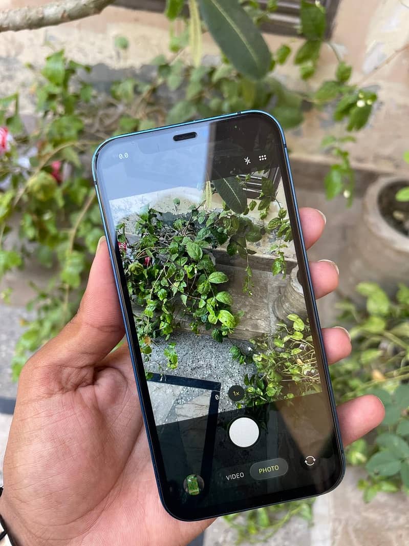 Apple iPhone 12 1