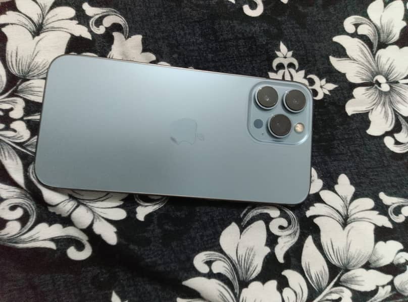 Apple iPhone 13 Pro Max 10
