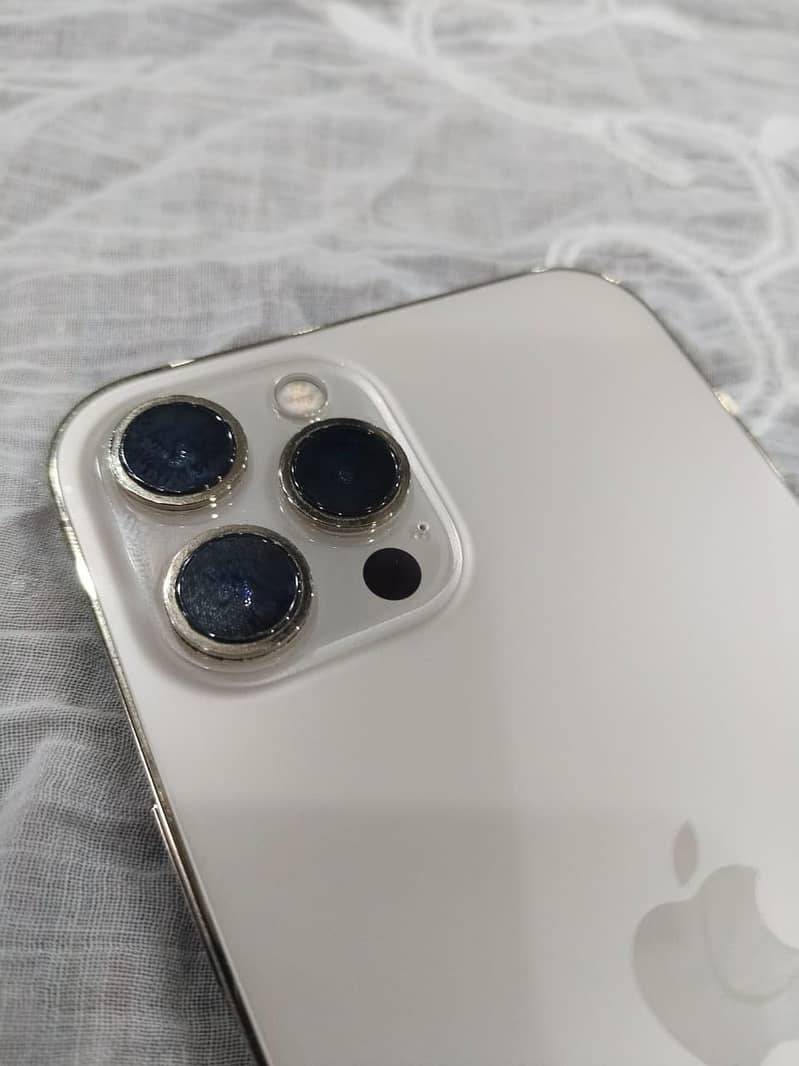 Apple iPhone 12 Pro Max 1