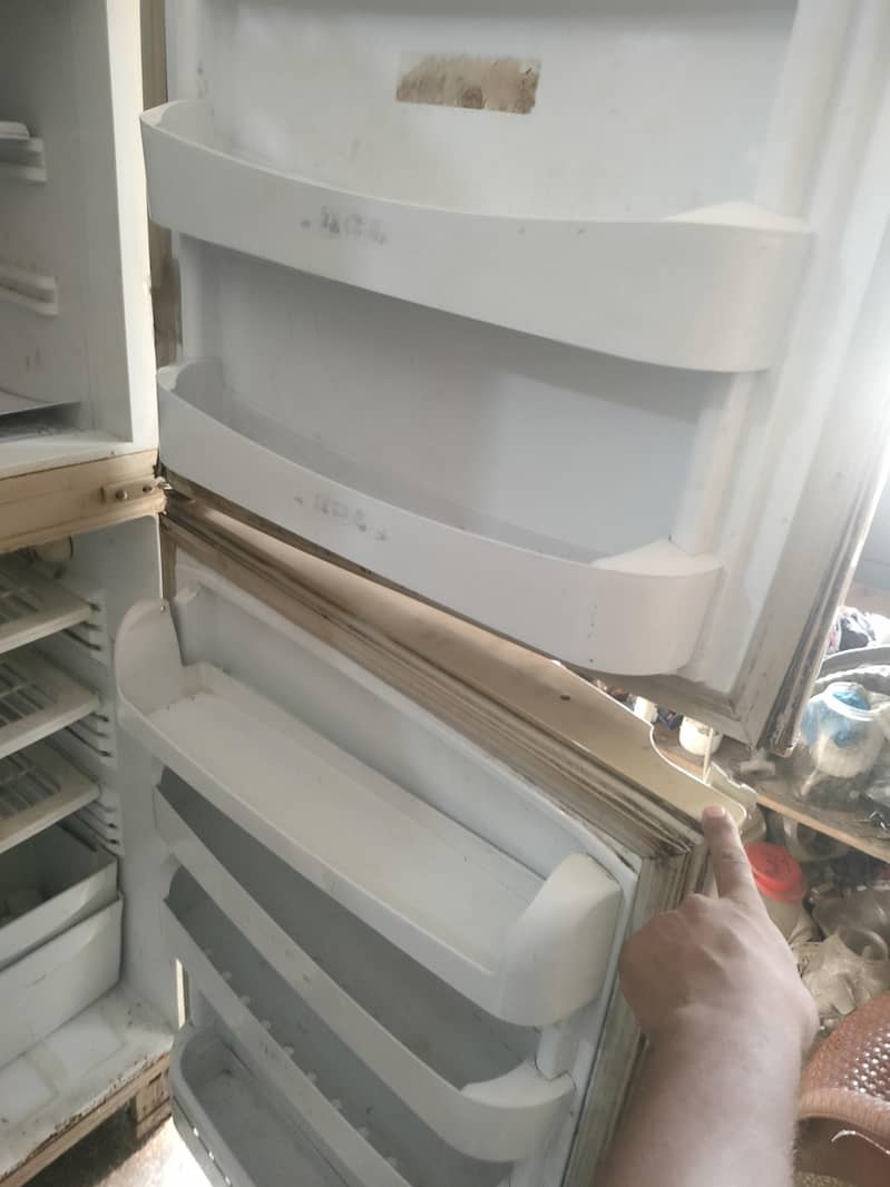 Pel refrigerator 3