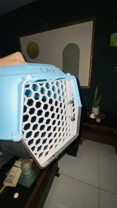Honeycomb design pet cage neat and clean