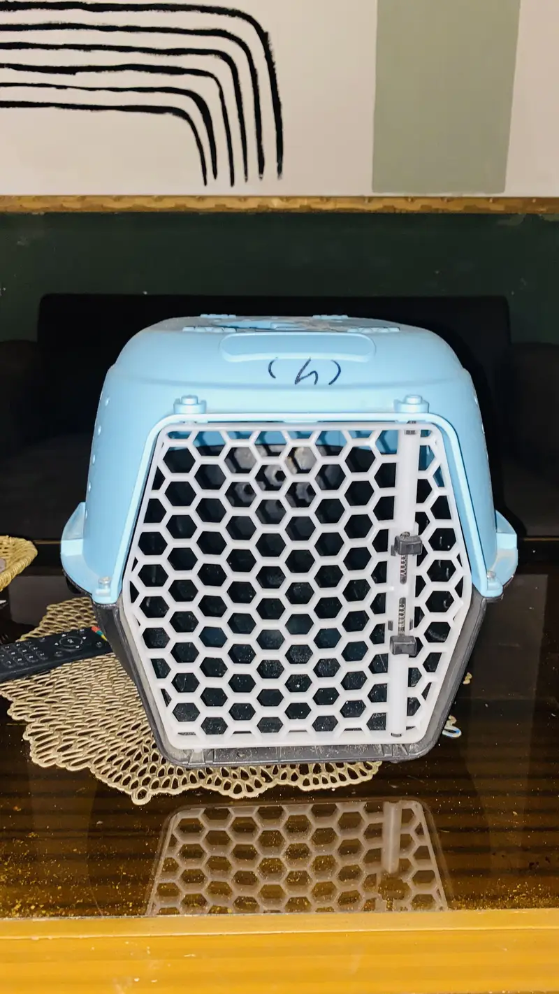 Honeycomb design pet cage neat and clean — photo 3
