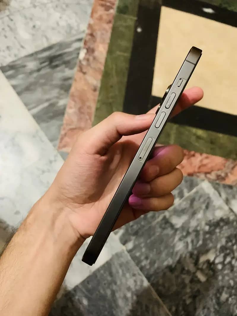 Apple iPhone 13 Pro Max 4