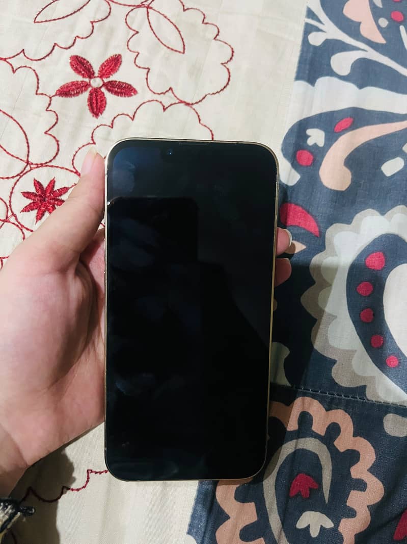 iPhone 13Pro 1