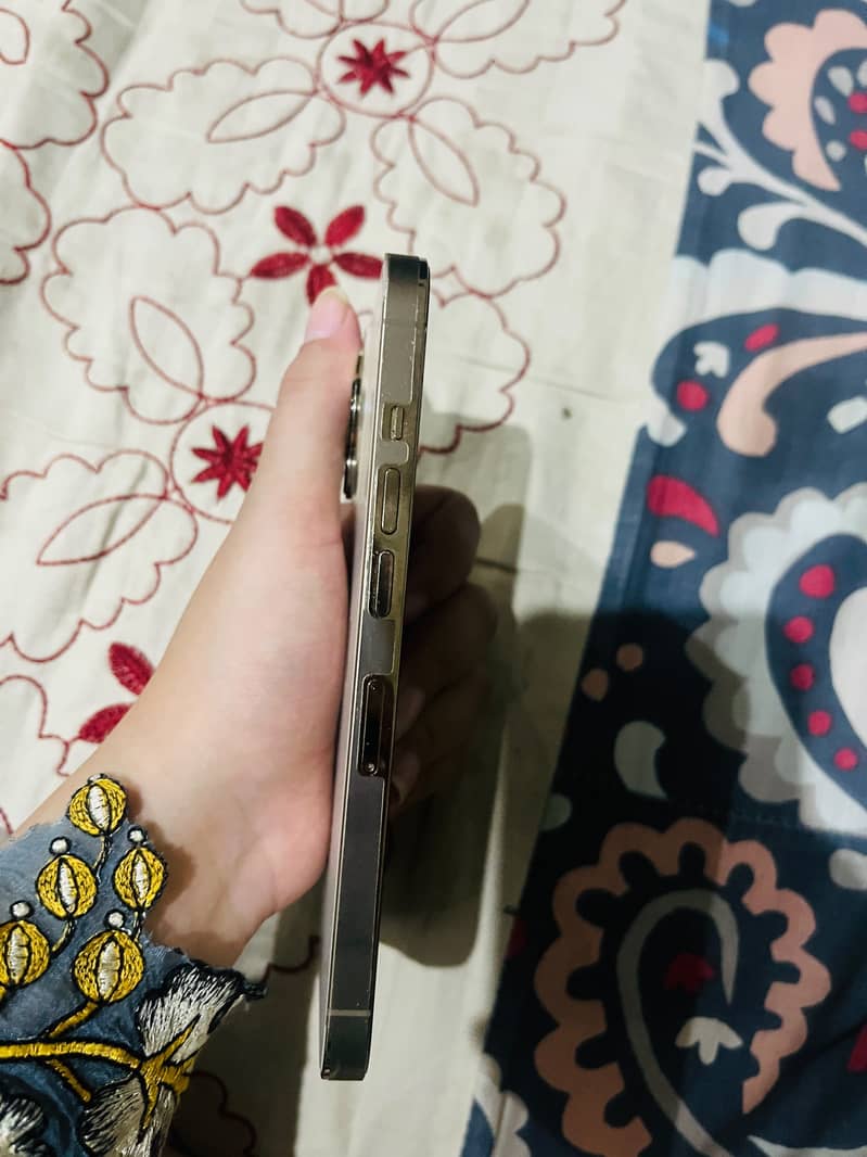 iPhone 13Pro 2