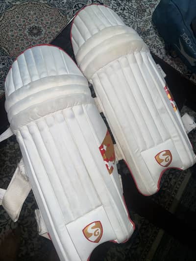 sg pads only for 1000