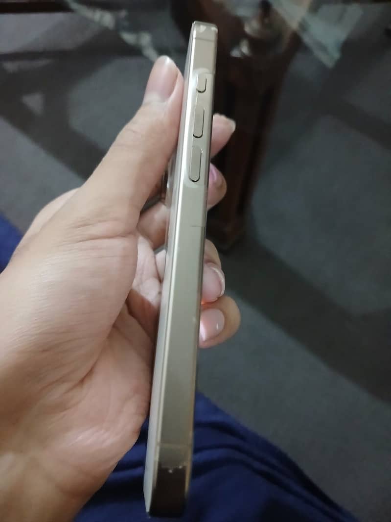 Apple iPhone 16 Pro 1