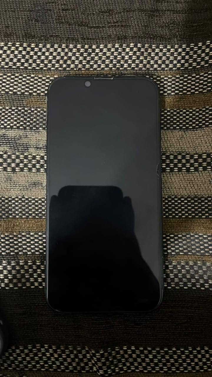 Apple iPhone 13 0