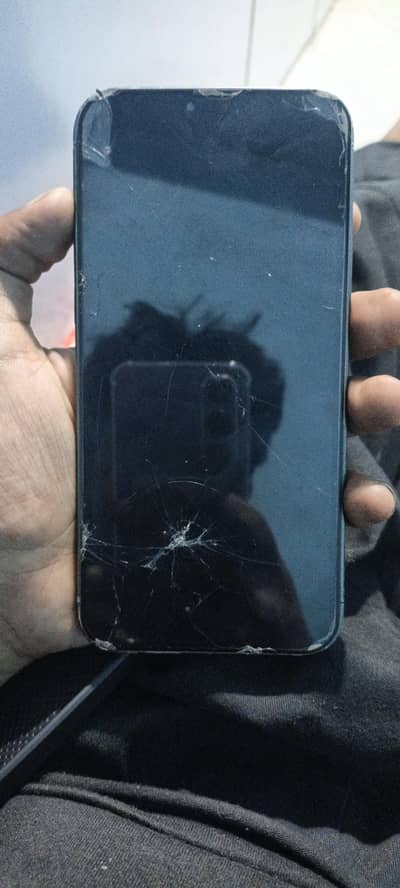 Apple iPhone 13 Pro Max