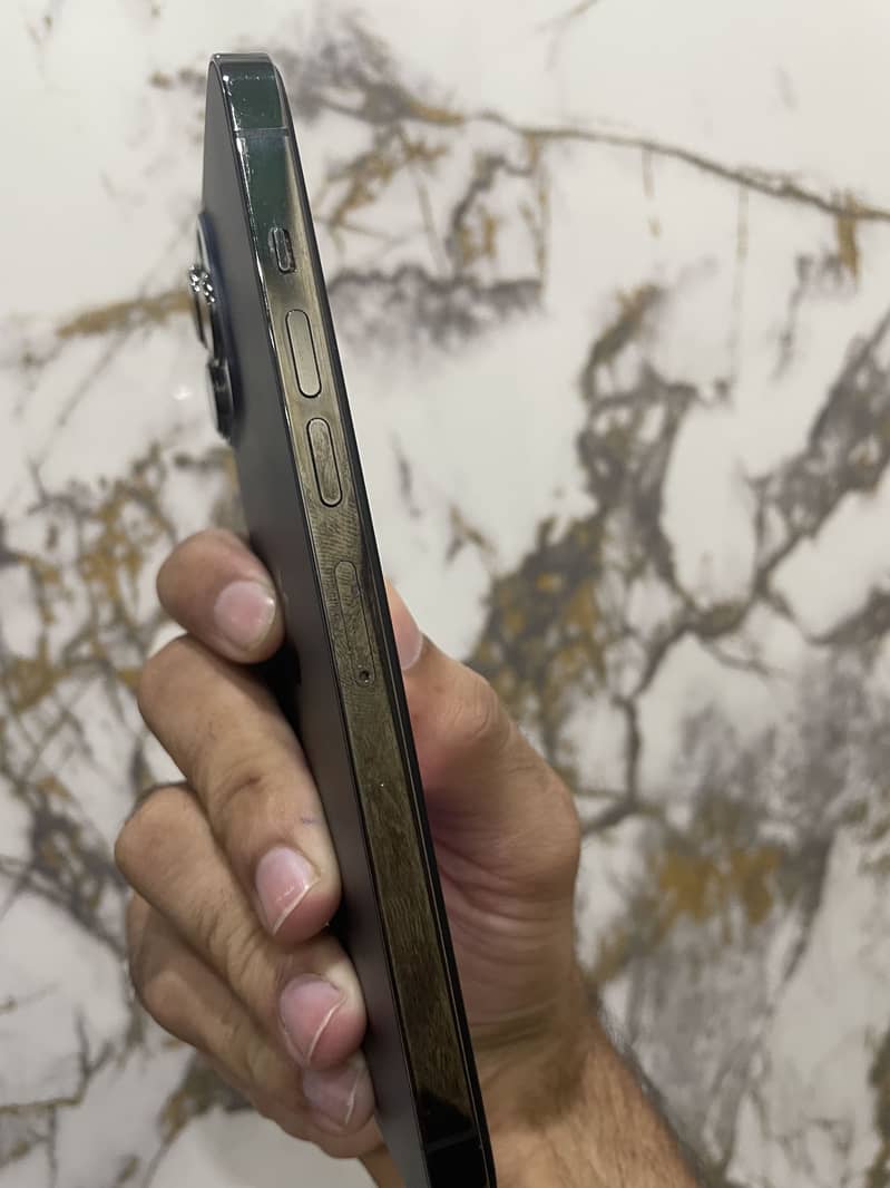 Apple iPhone 13 Pro Max 1