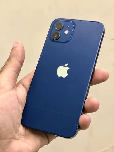 Apple iPhone 12