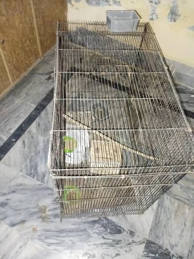 cage iron for sale resonable price