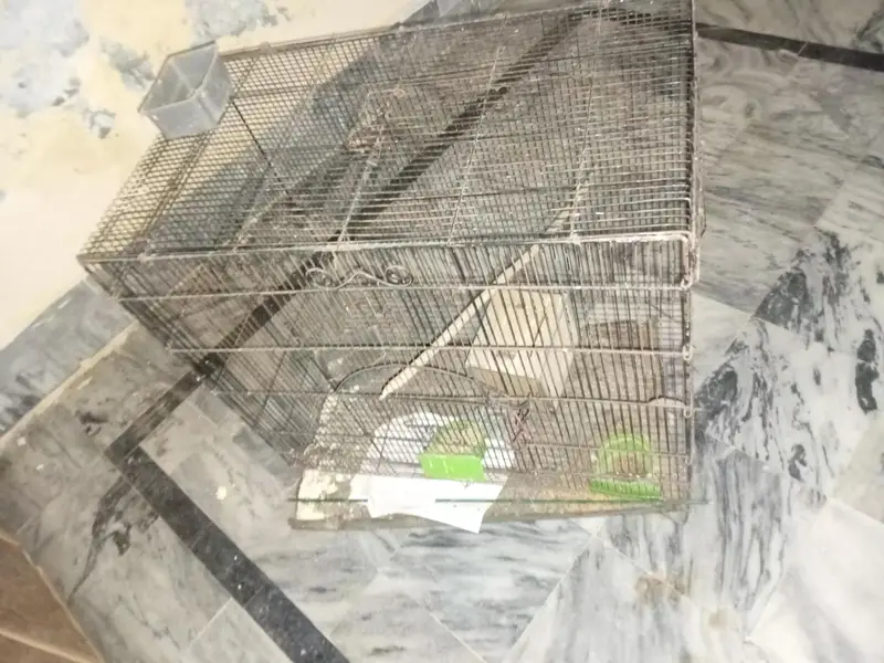 cage iron for sale resonable price — photo 2