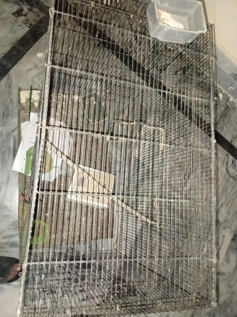 cage iron for sale resonable price — photo 3