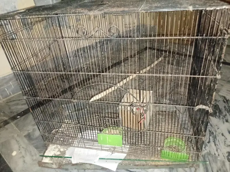 cage iron for sale resonable price — photo 4