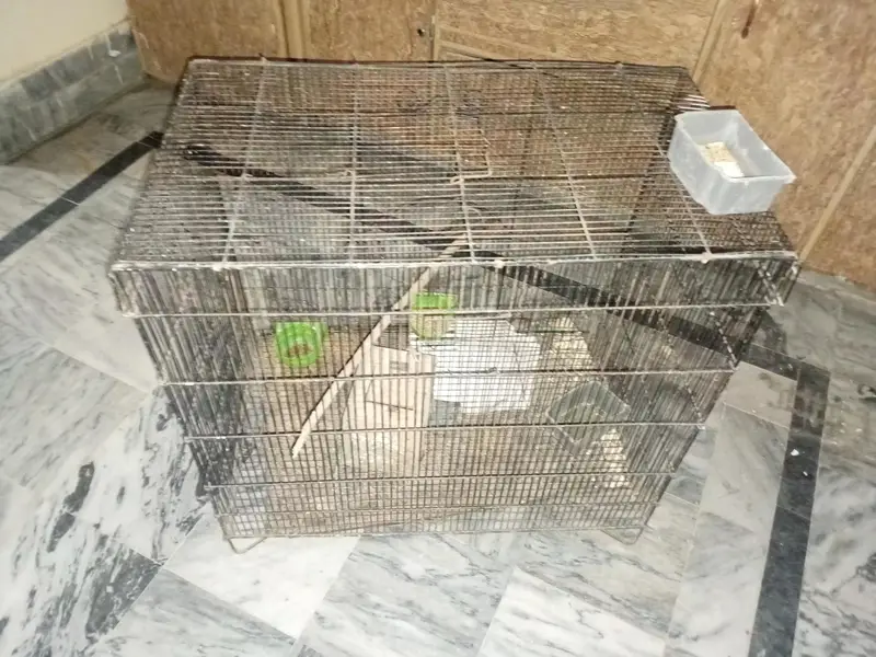 cage iron for sale resonable price — photo 5