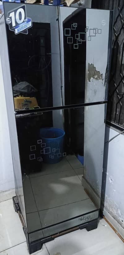PEL glass door fridge for sale