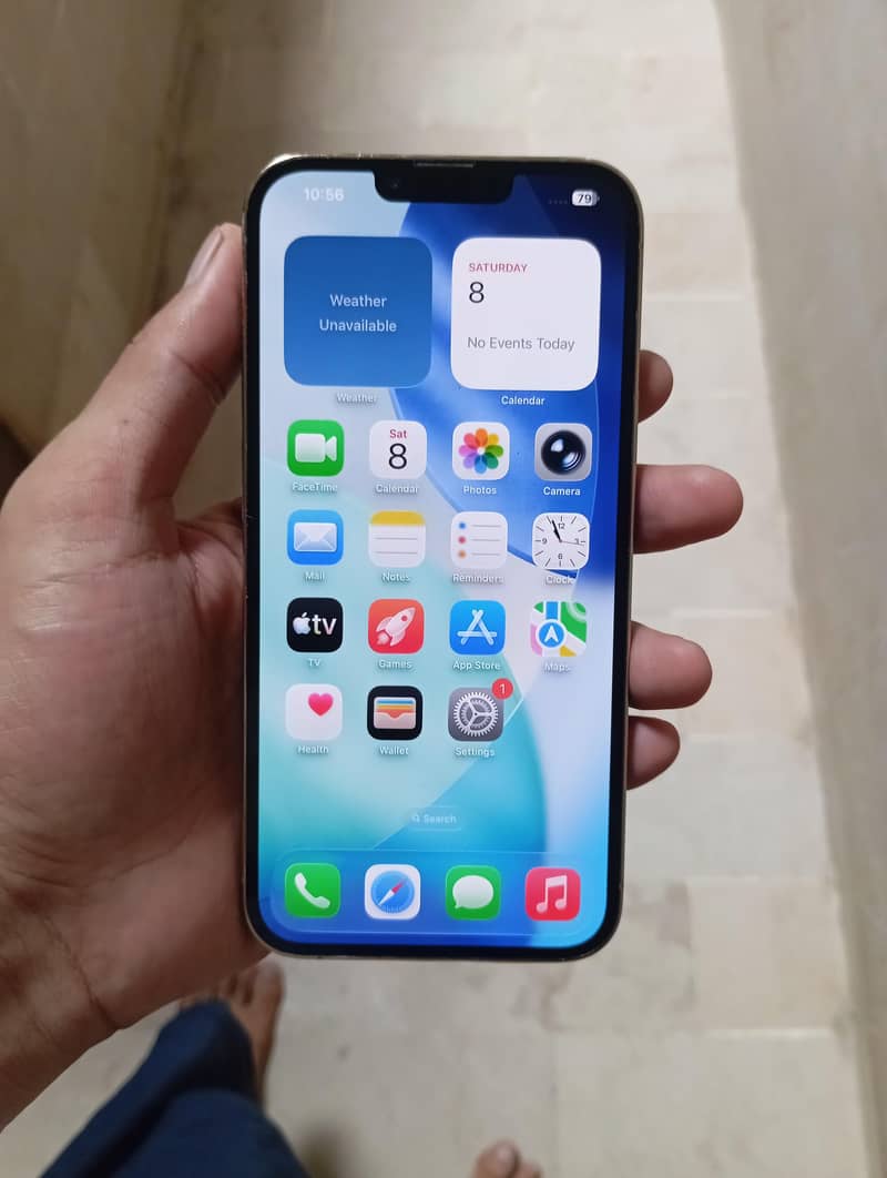 Apple iPhone 13 Pro Max 1