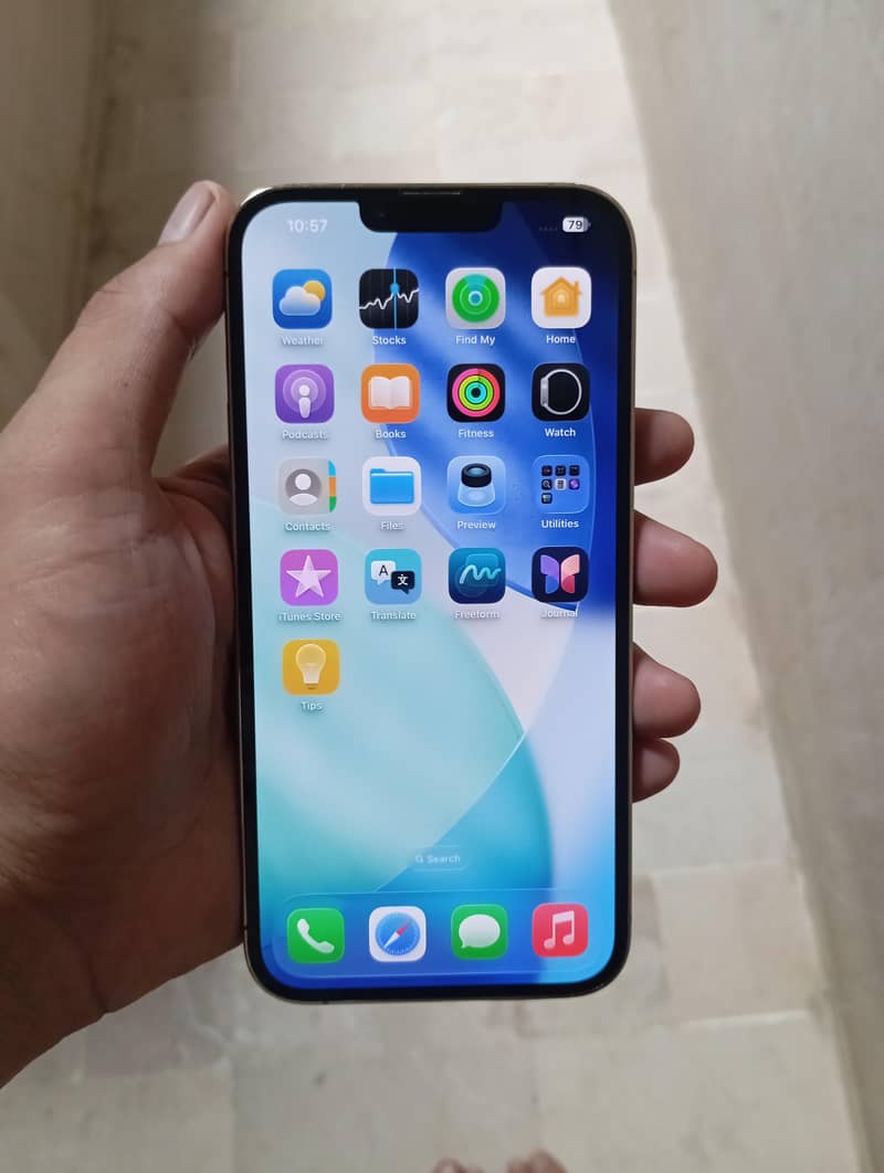 Apple iPhone 13 Pro Max 2