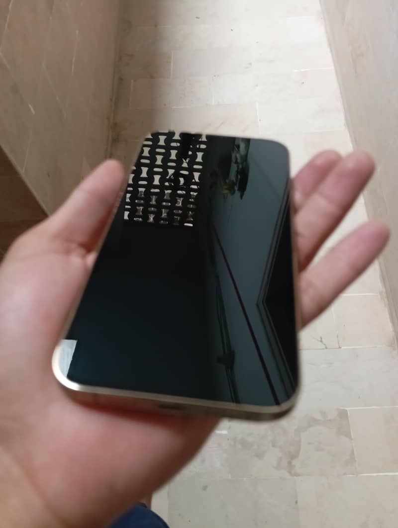 Apple iPhone 13 Pro Max 11