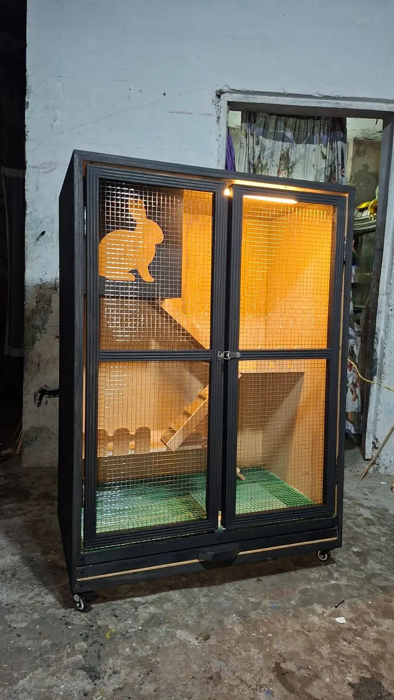  Holland Lop Rabbit Pair + Rabbit House | Complete Setup