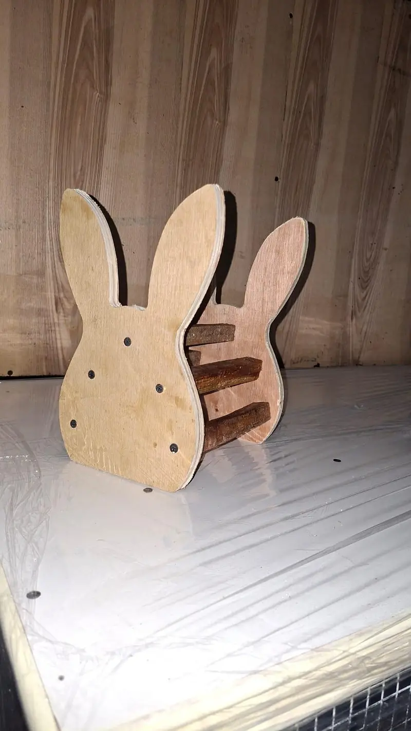  Holland Lop Rabbit Pair + Rabbit House | Complete Setup — photo 3