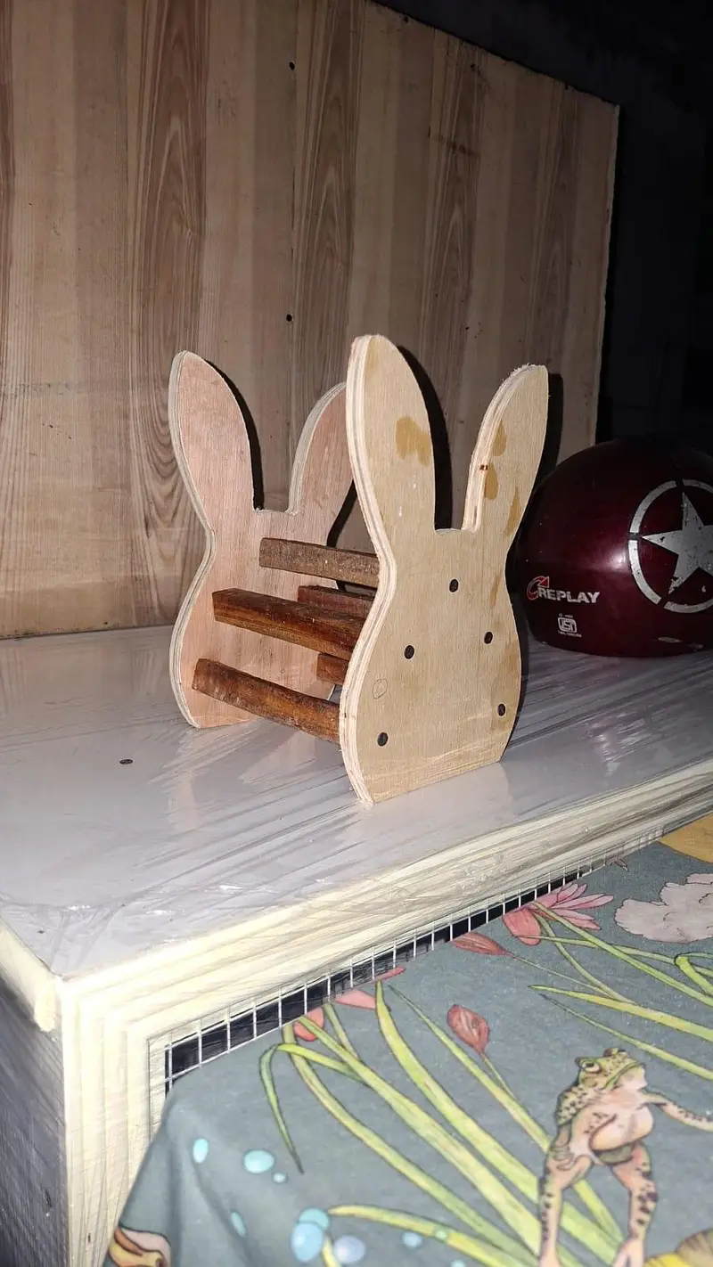  Holland Lop Rabbit Pair + Rabbit House | Complete Setup — photo 4