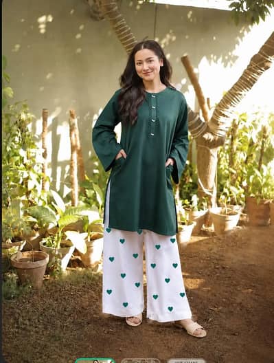 2 Pcs Women's Stitched Linen Plain Shirt And Trous