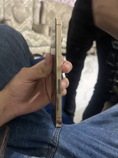Apple iPhone 12 Pro Max
