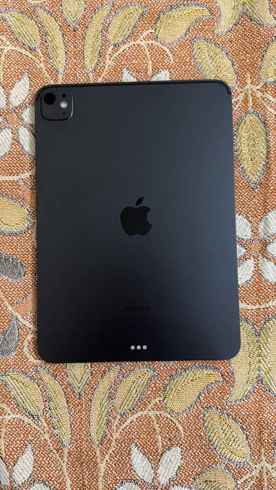 iPad pro M4 (11 inch) grey