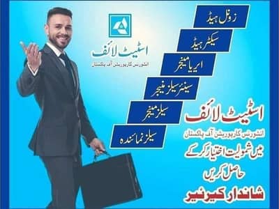 Sales Manager