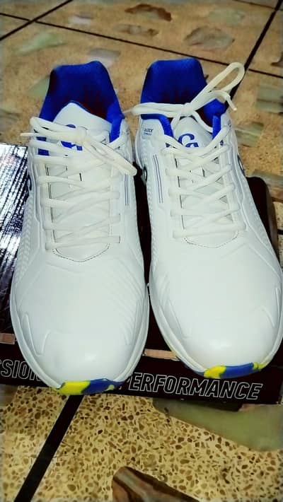 C. A branded cricketer shoes