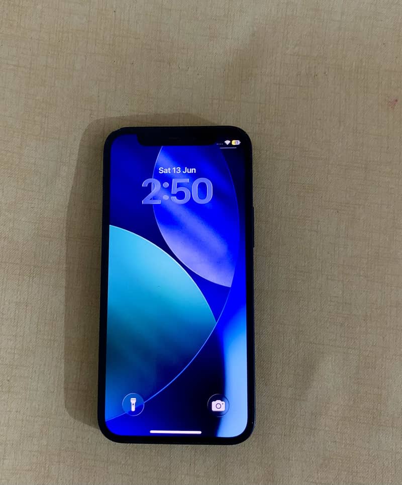 Apple iPhone 12 mini 0