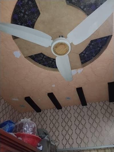 white fan