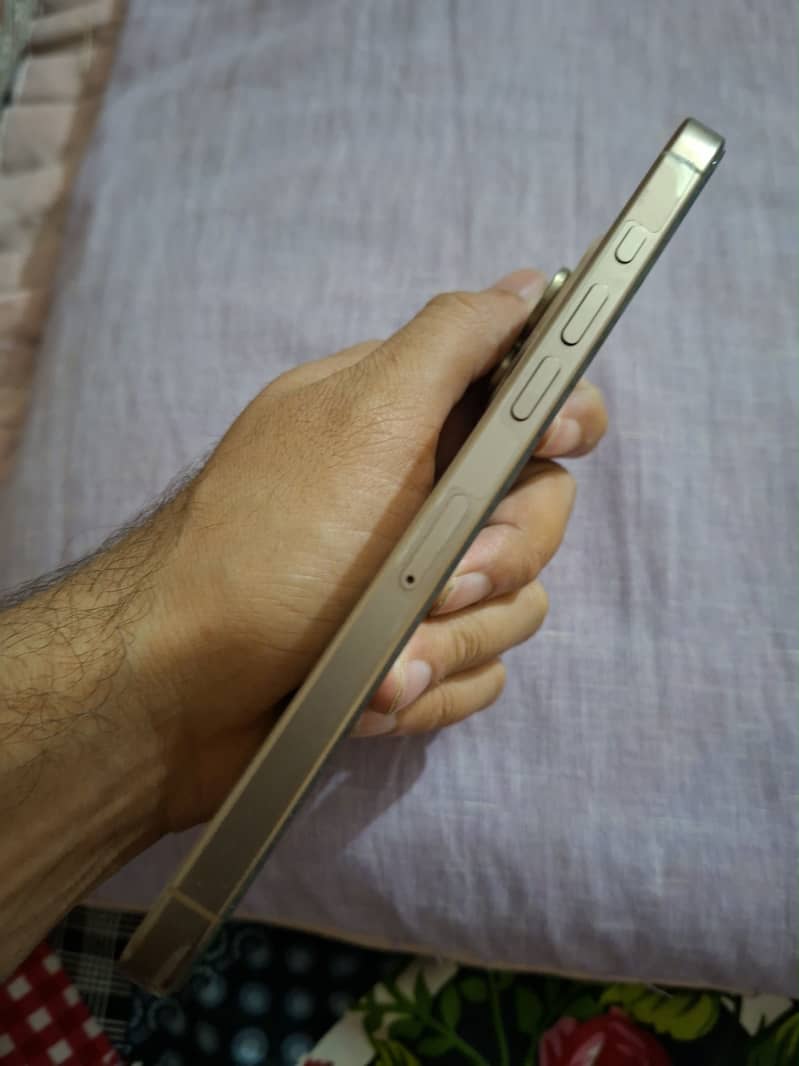 Apple iPhone 16 Pro Max 2