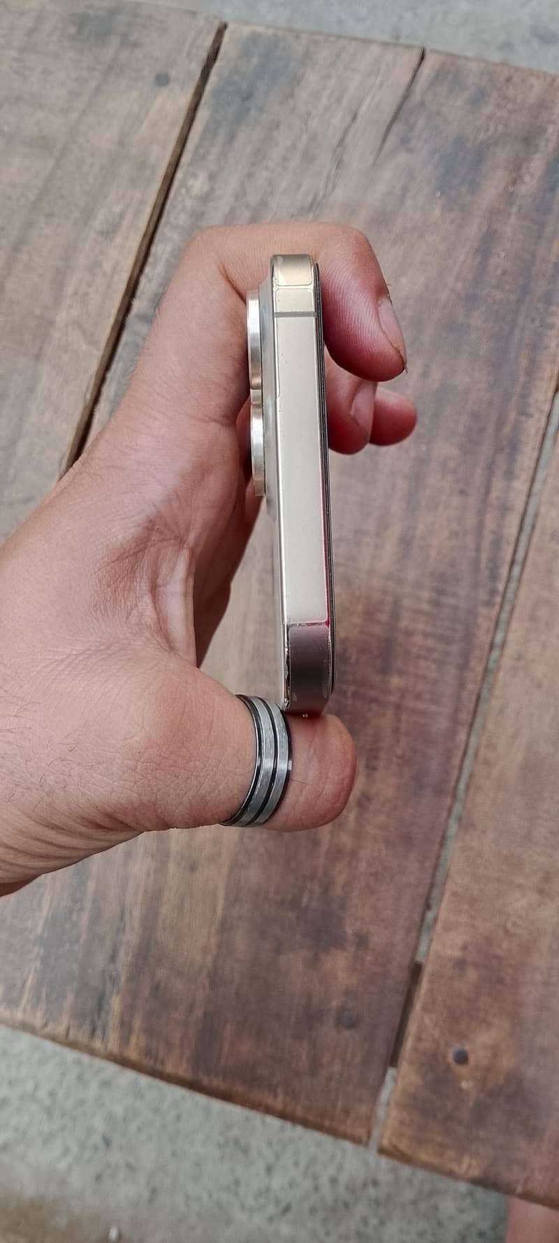 Apple iPhone 13 Pro Max 1