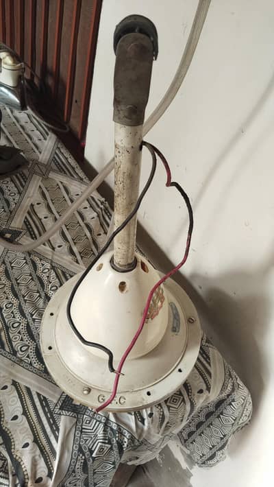 ceiling fan GFC