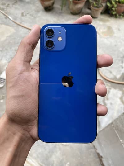 Apple iPhone 12