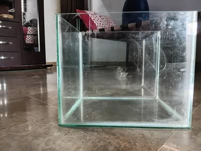 aquarium urgent sale