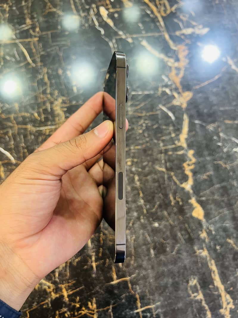 Apple iPhone 13 Pro Max 1